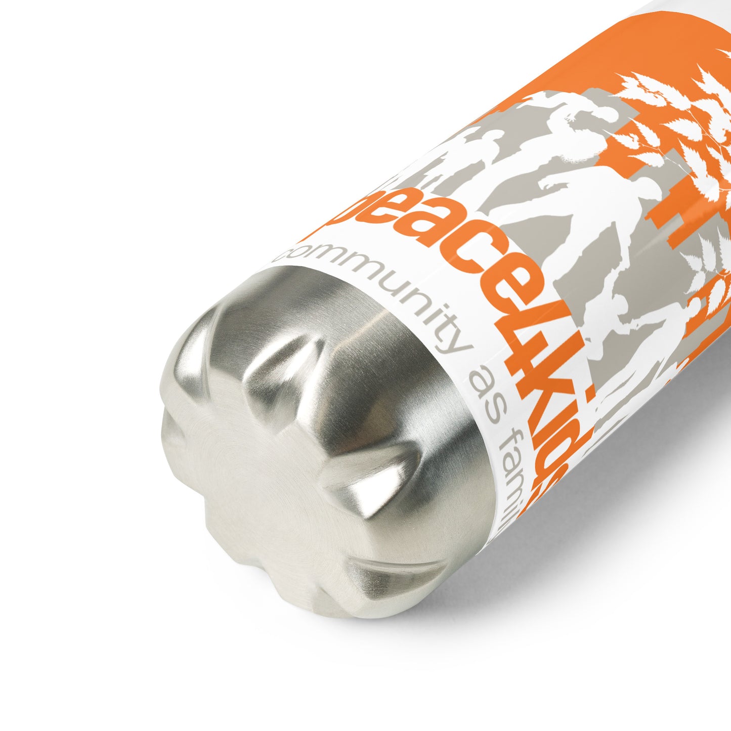 Stainless Steel Water Bottle